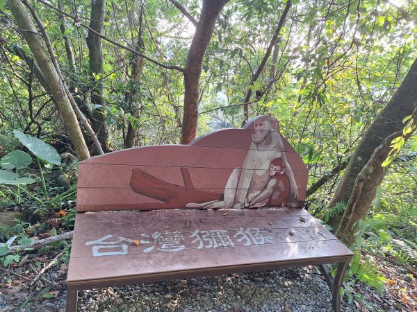 冬山梅花湖中山步道+大陂丘山202509292901663