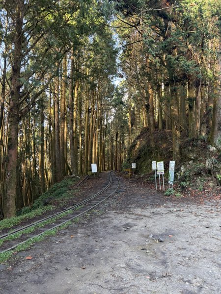 20251225塔山步道(大塔山)2970328