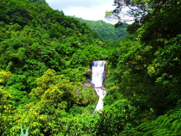 三貂嶺雨後瀑布行353420