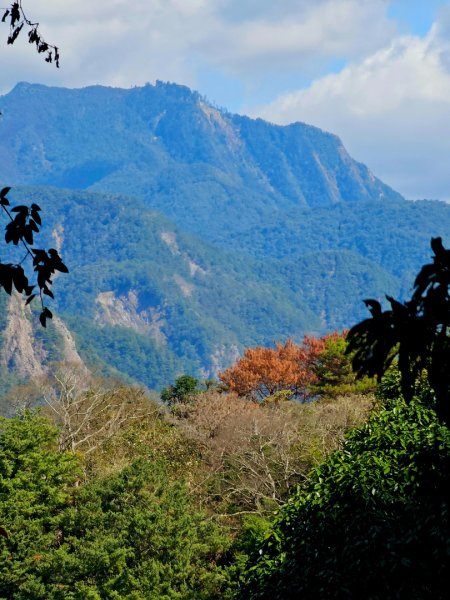 唐麻丹山-谷關七雄(老么)2991555