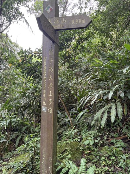 20250830台南關仔嶺大凍山步道2914706