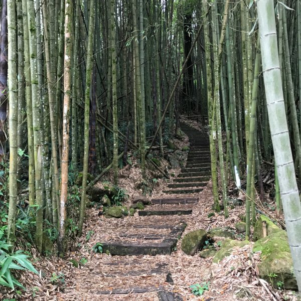 大凍山步道，頂湖出發935531