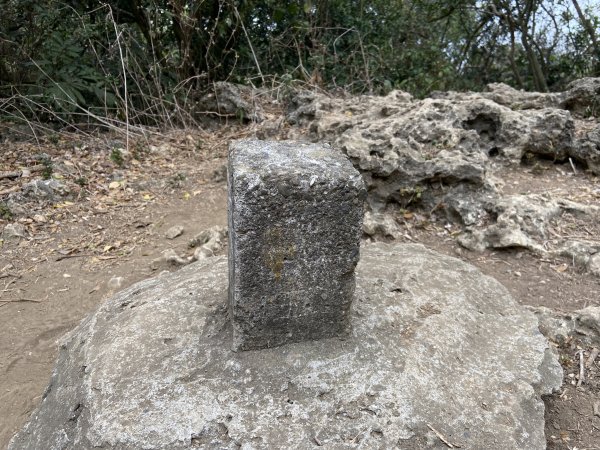 柴山，一年四季3085739