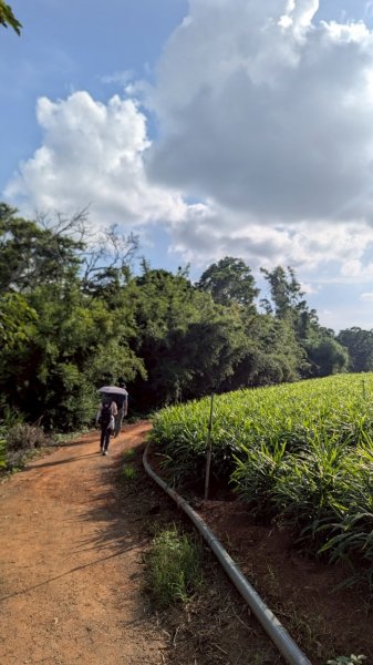 橫山步道2838250