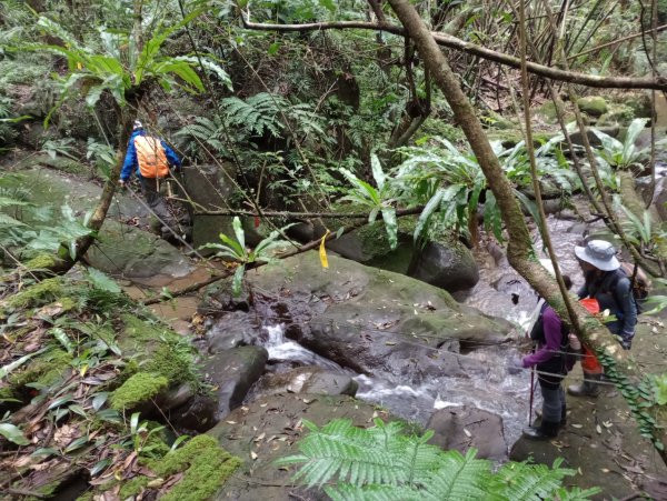 雷公埤山-鱷魚島觀景-小格頭獅頭山2001528