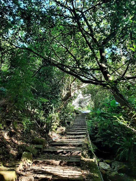 發現陽明山｜天母古道、擎天崗環形步道1900887