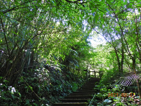 基隆 暖暖 荖寮坑古道1279717