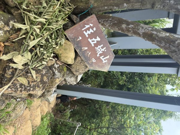 偷吃步之台北天際線第十段2777821