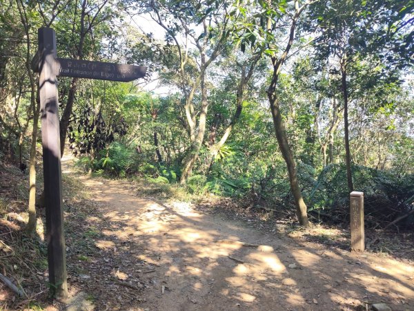 微笑山線：【二格山系】筆架連峰段2963176