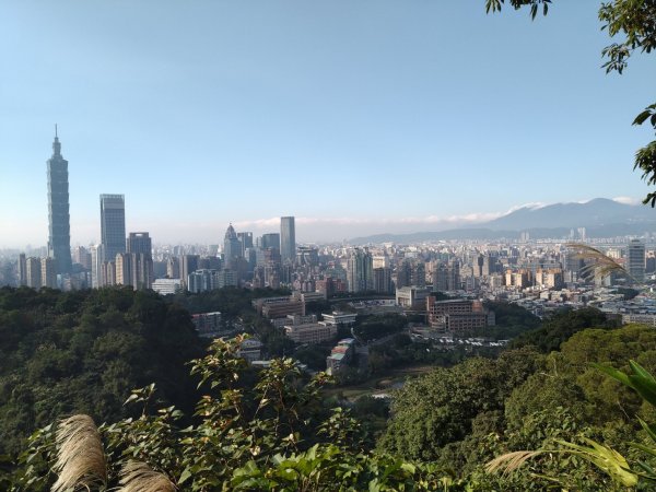 四獸山=象+豹+虎+獅1070467