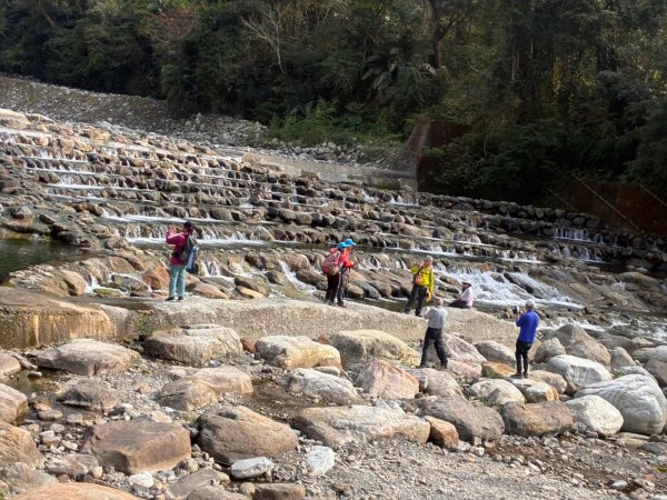雪山坑登山步道尋巨人2978292