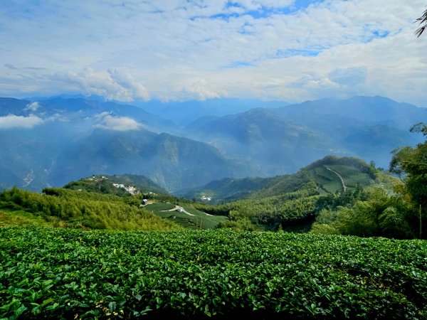 雲嘉大尖山、二尖山步道--(雲林)臺灣百大必訪步道2955766