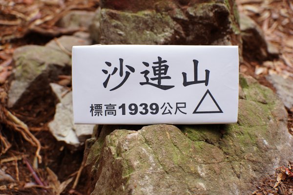 臺中 和平 橫嶺山、沙蓮山、笛吹山2974936