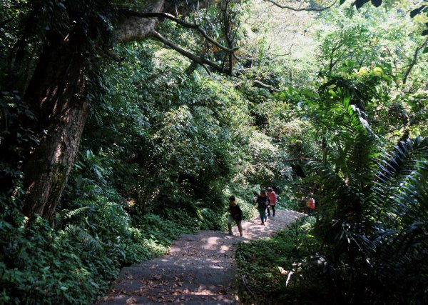 觀音山、尖山(占山) O型1336576