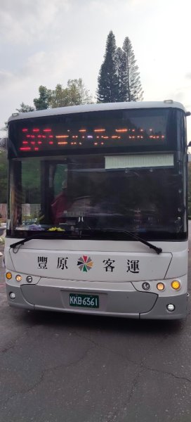 東勢林場森林浴場步道3019126