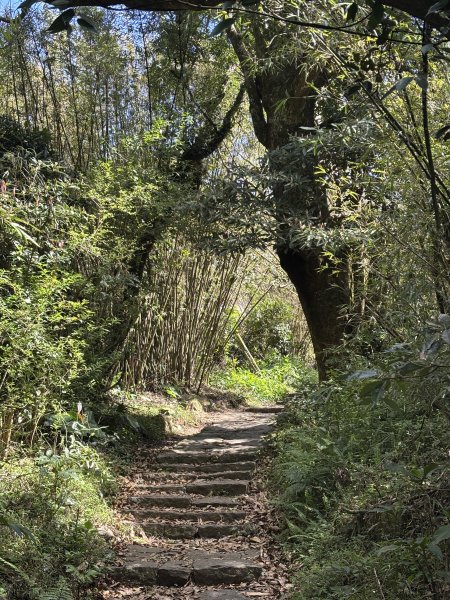 陽明山東西大縱走-西段3016179