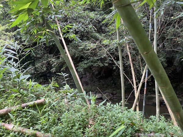 [皮皮獅探險隊-06/10] 2025_0706 四寮溪生態步道2831973