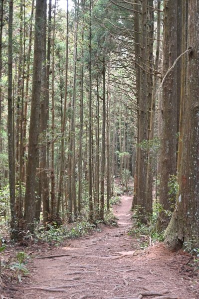 中級山-高島縱走2888380
