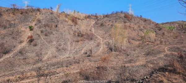 《台中》短暫暖陽｜龍井竹坑南寮步道O繞202601042976411
