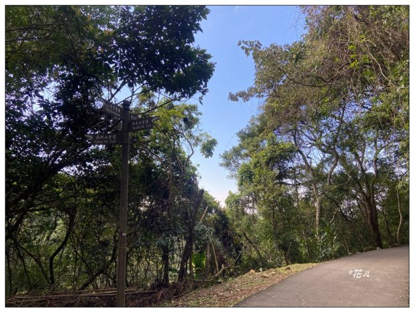 頭寮山、內湳溝山、牛角湳西南峰O型連走2738942