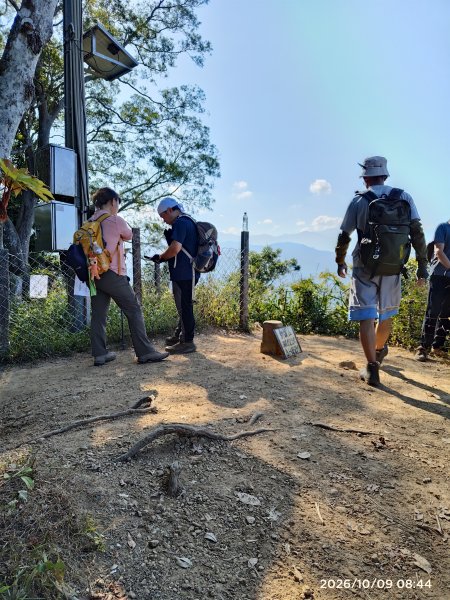 樟之細路｜尋寶任務獅山古道（RSA29）2026100910513130154