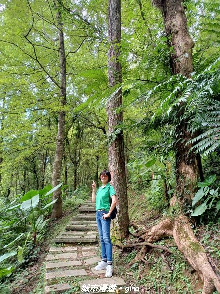 【花蓮壽豐】秀麗山景。 池南國家森林遊樂區森林浴步道2266016