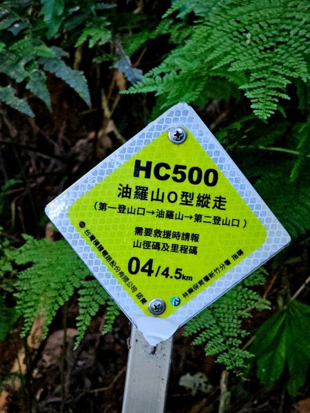 油羅山-2025森遊竹縣皮皮獅探險隊2910091