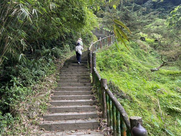 台北大縱走2026｜一天解鎖7顆寶石💎還嚕到4隻貓！第七段｜指南宮千階梯→貓空→樟湖步道→樟山寺3021796