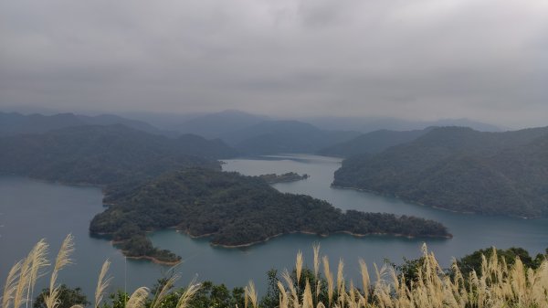 鱷魚島之旅封面