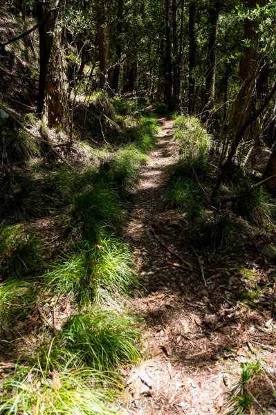 霞山鐵道野營2843128