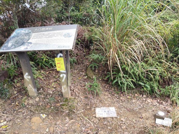 微笑山線：【天上山系】望月亭桐花段3001595