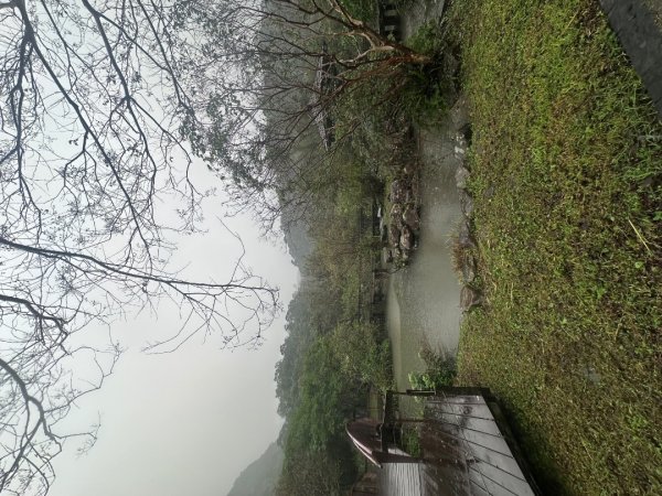 2024草嶺古道芒花季草嶺古道2644792