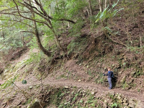 霞喀羅古道全段順登石鹿大山1291735