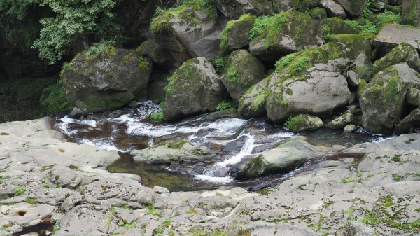 《南投》銀杏湖｜杉林溪青龍瀑布越嶺古道燕庵步道202210151880126