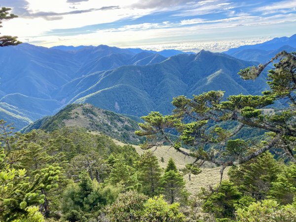 玉山後四峰--完登玉山群峰D2      2022/6/151738367