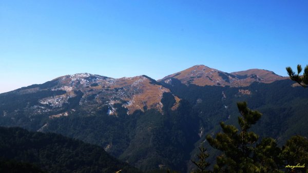 前進廣寒宮~寒流來襲上屏風山賞奇萊糖霜825087