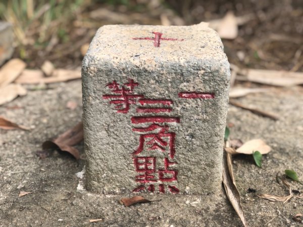 嘉義民雄松子腳山一等點 南松子腳山三等點1216174