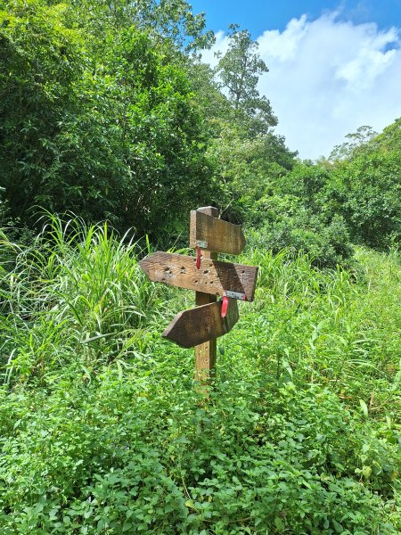 望龍埤三山O型202509272901716