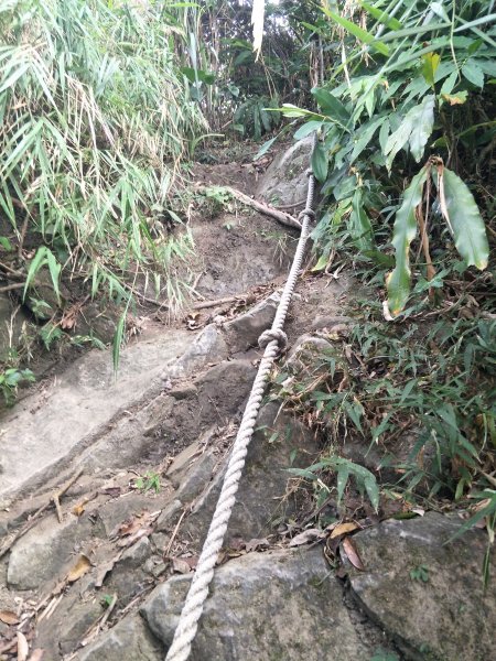 2019 10 29 三腳南山登山步道717765