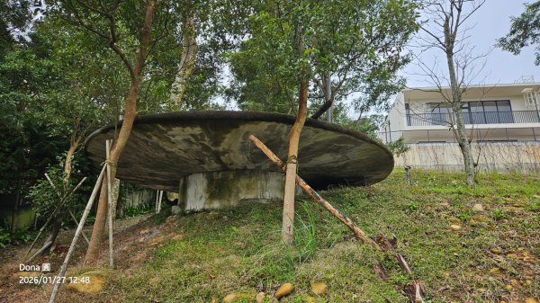 20260127三通嶺山.三義山(大桁茂山).慈濟山.大坪山大O走2989951