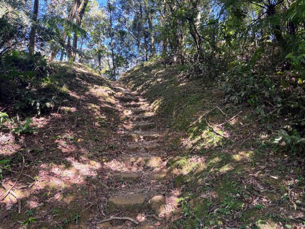 五分山系-望古瀑布段2896296