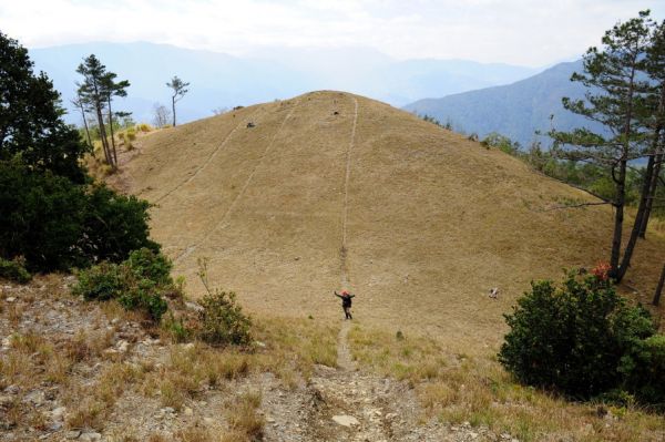 【台中】又來一座 (兔)登山杖(兔)到手酸的 馬武霸基點峰+馬武霸主峰