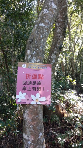 水雲三星之鳳（鳥嘴山）上島山1217426