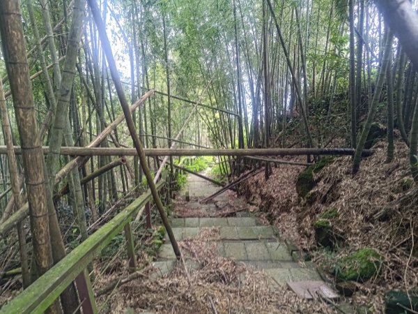 華山4-2號步道上雲嘉連峰2579329