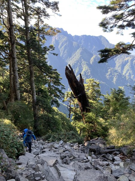 【百岳】玉山前峰872361