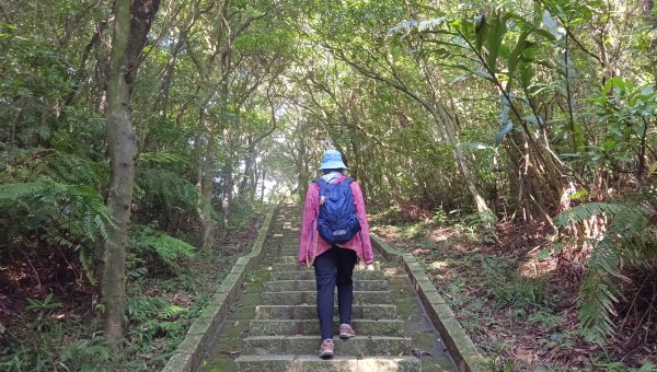 (姨婆趴趴走)第五十五集:攀登健走台北大崙頭尾山親山步道環狀一圈2853710