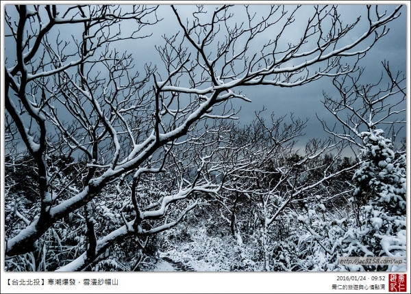 20160124寒潮爆發．雪漫紗帽山28909