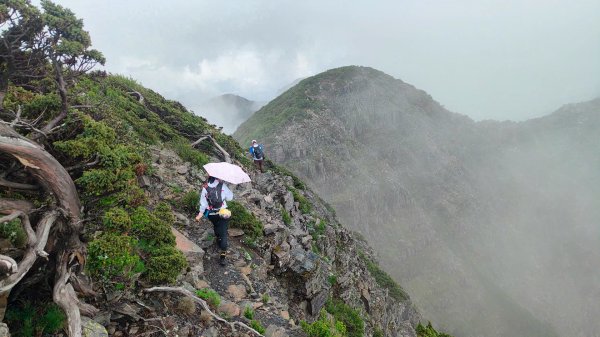 雪山主東北甘木林山下翠池2025年6月22日2823853