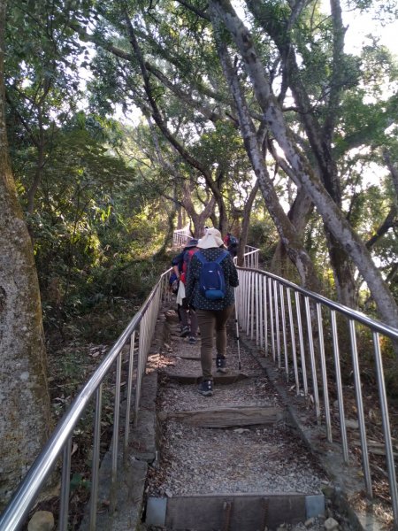 鼓山尖峰泡茶趣---田中森林登山步道811523