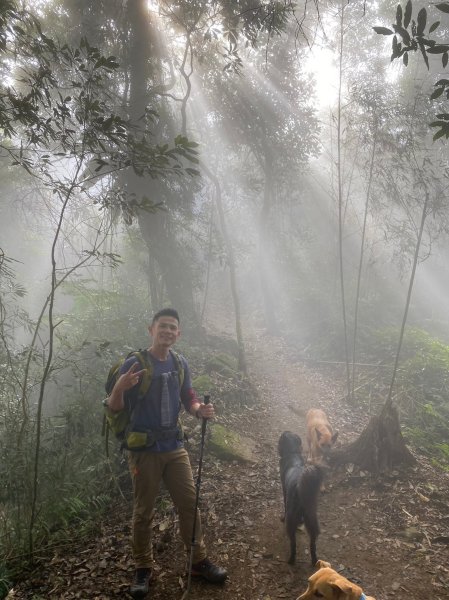 馬那邦山.細道邦山【你 不能預判山的變幻莫測】2401472